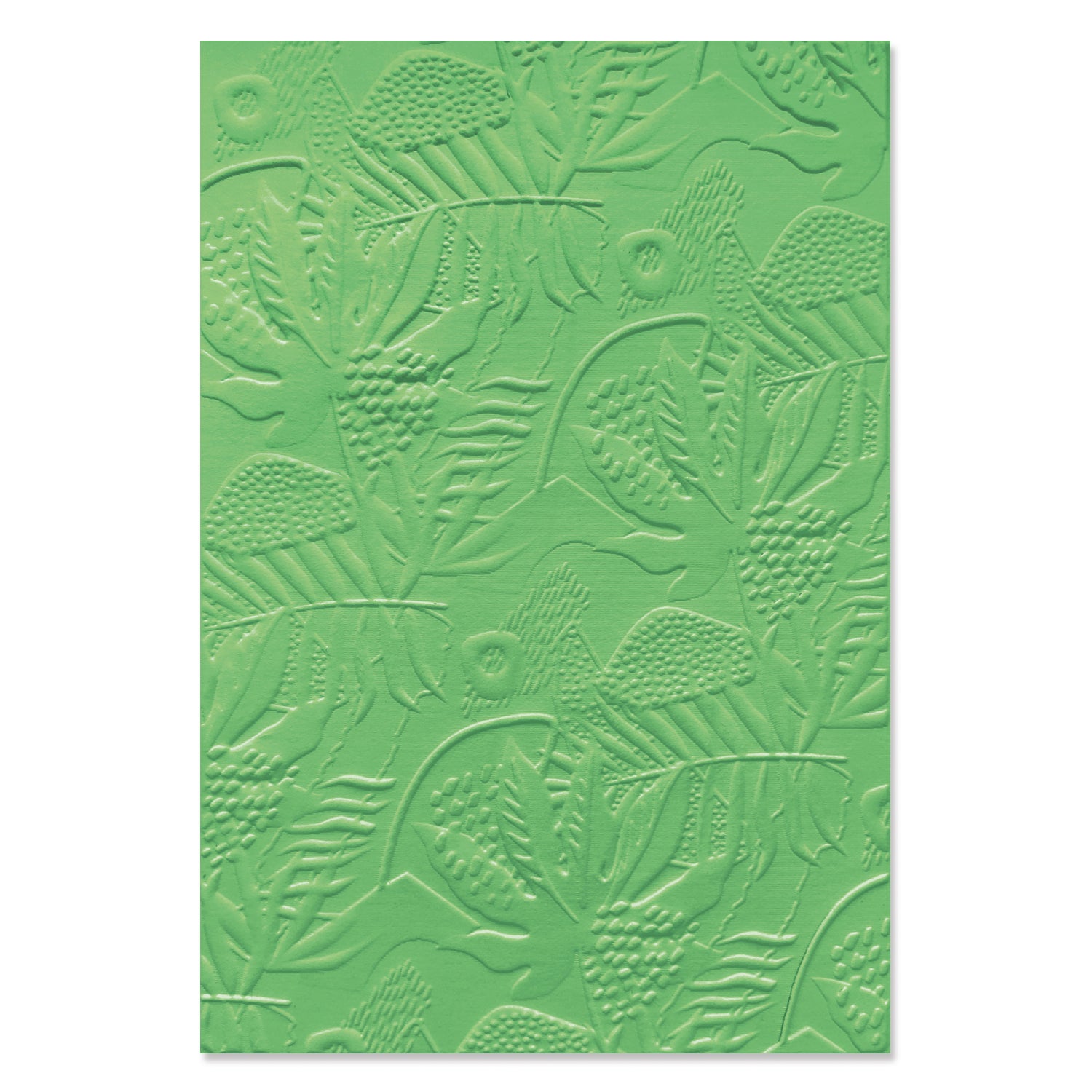 sizzix-3-d-textured-impressions-embossing-folder-jungle-textures-by-catherine-pooler