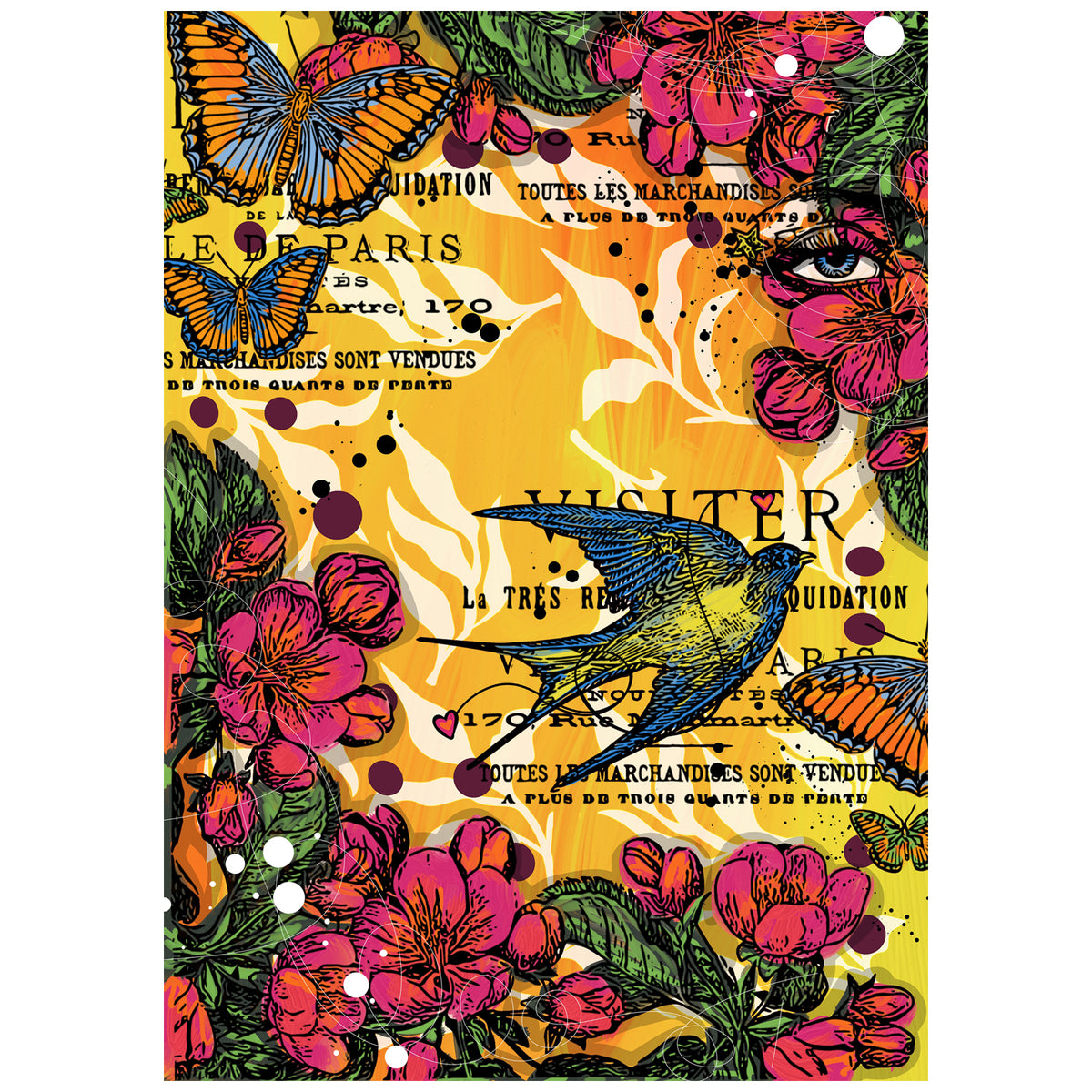 666758_The_Visiter_RGB_1200x12
