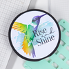 Sizzix Layered Stencils 4PK - Hummingbird