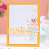 Sizzix Thinlits Die Set 13PK Fabulous Family Names by Debi Potter