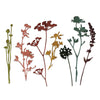 Sizzix Thinlits Die Set 7PK Wildflowers #1 by Tim Holtz