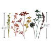 Sizzix Thinlits Die Set 7PK Wildflowers #1 by Tim Holtz