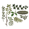Sizzix Thinlits Die Set 9PK Garden Greens by Tim Holtz
