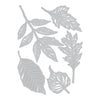Sizzix Thinlits Die Set 5PK Skeleton Leaves by Tim Holtz
