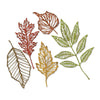 Sizzix Thinlits Die Set 5PK Skeleton Leaves by Tim Holtz