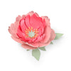 Sizzix Thinlits Die Set 5PK Peony