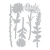 Sizzix Thinlits Die Set 5PK Wildflower Stems #1 by Tim Holtz