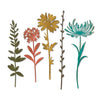 Sizzix Thinlits Die Set 5PK Wildflower Stems #1 by Tim Holtz