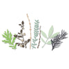 Sizzix Thinlits Die Set 9PK - Hidden Leaves