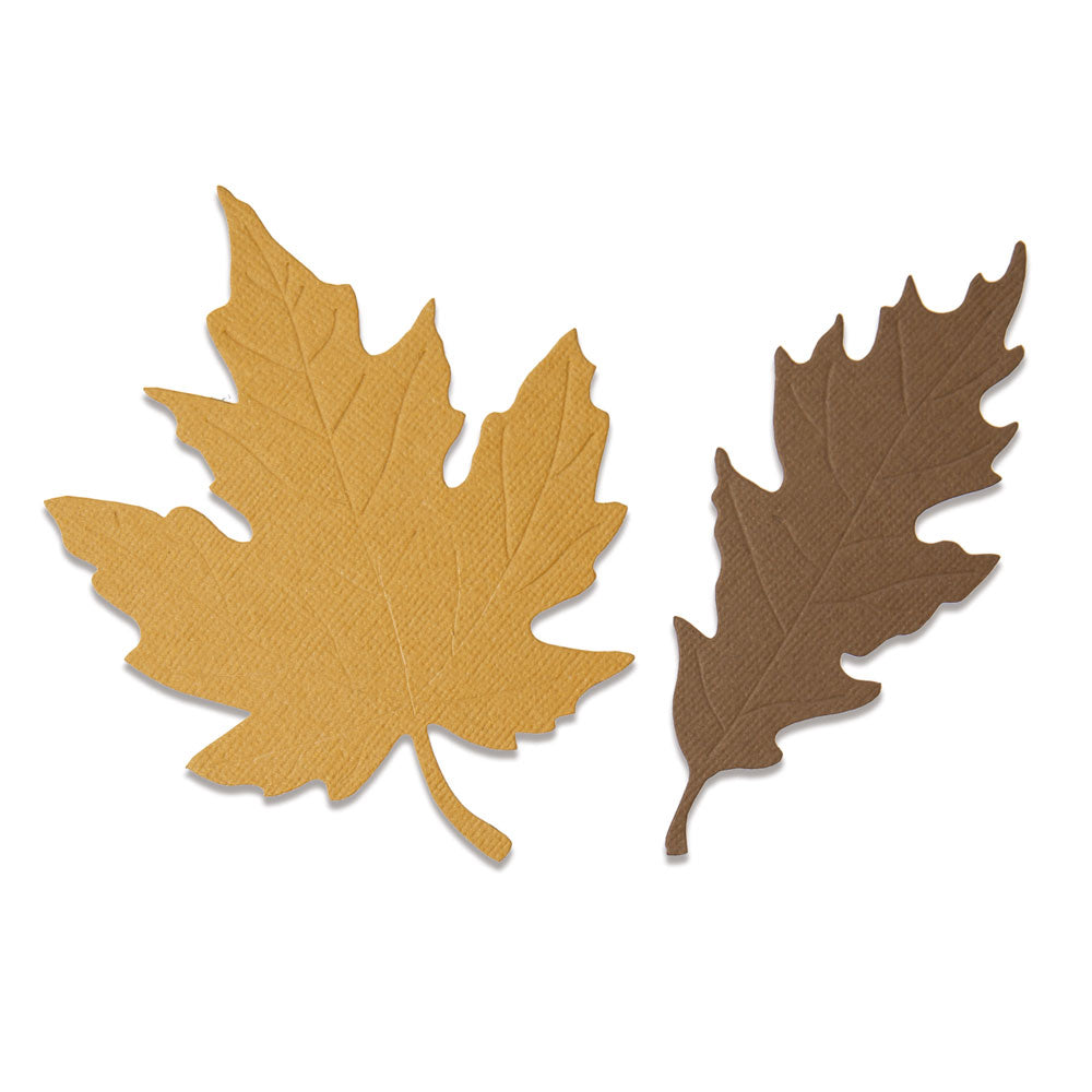 Sizzix Bigz Die - Autumnal Leaves – Sizzix.co.uk