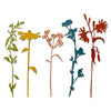 Sizzix Thinlits Die Set 5PK Wildflower Stems #3 by Tim Holtz