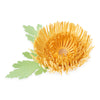 Sizzix Thinlits Die Set 5PK Chrysanthemum