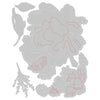 Sizzix Thinlits Die Set 5PK Brushstroke Flowers #3 by Tim Holtz