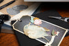 Sizzix Thinlits Die Set 11PK - Bird & Egg, Colorize by Tim Holtz