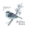Sizzix Layered Clear Stamps 4PK Summer Bird