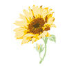 Sizzix Layered Clear Stamps Set 6PK Sunflower Stem