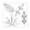 Sizzix Framelits Die Set 3PK w/4PK Stamps Decorative Leaves