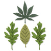 Sizzix Framelits Die Set 3PK w/4PK Stamps Decorative Leaves