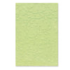 3D Textured Impressions Embossing Folder Summer Foliage by Sizzix