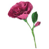 Sizzix Thinlits Die Set 7PK - Lisianthus by Alexis Trimble
