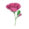 Sizzix Thinlits Die Set 7PK - Lisianthus by Alexis Trimble