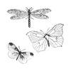 Sizzix Framelits Die Set 3pk w 3pk Stamps Engraved Wings by 49 and Market