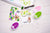 Sizzix Thinlits Die Set 22PK - Going Bananas #2 by Catherine Pooler