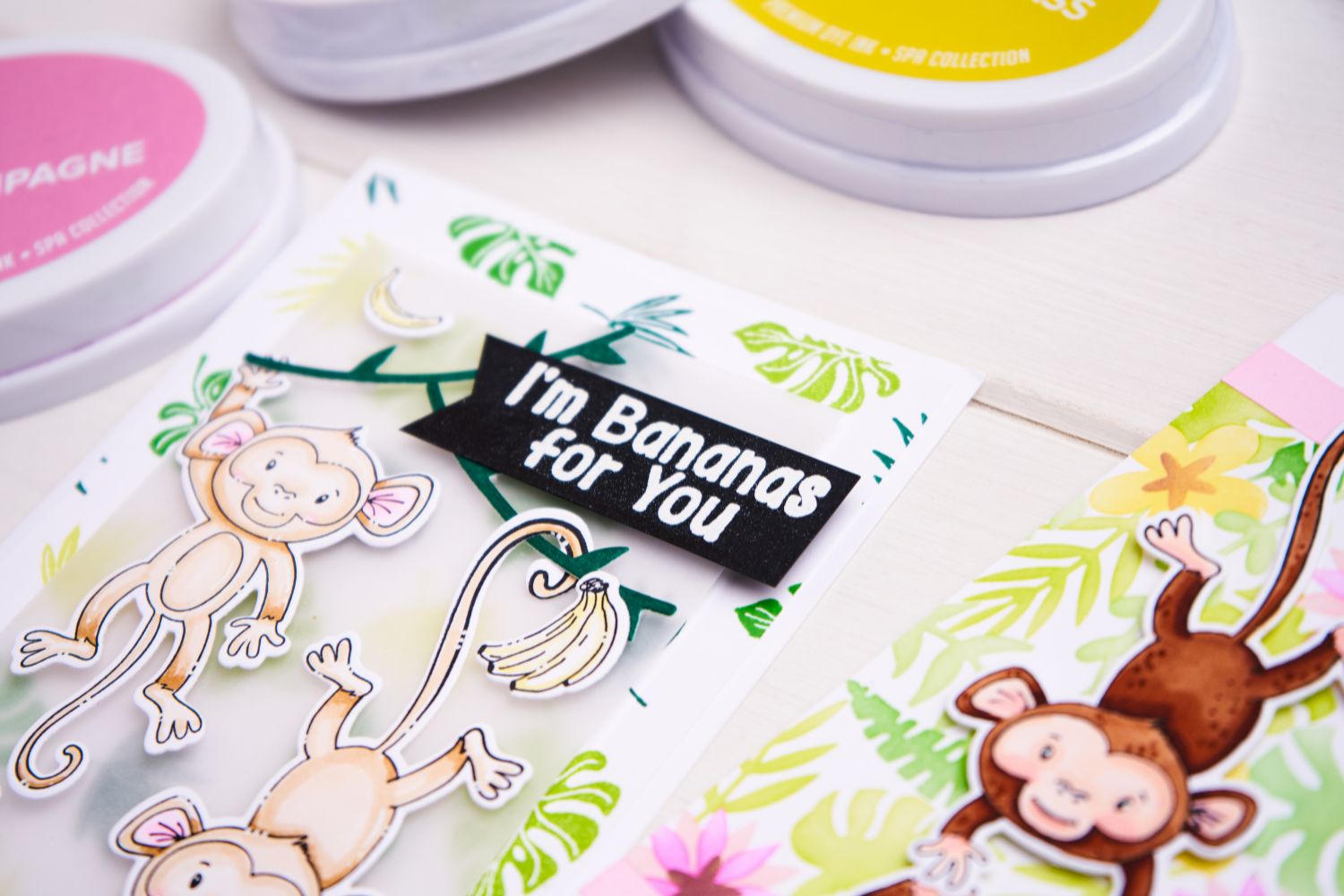 Sizzix Set di 18 timbri trasparenti Stay Wild di Catherine Pooler