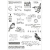 Sizzix A5 Clear Stamps 23PK w/5PK Framelits Die - Bird Song by 49 and Market