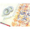 Sizzix Studio Making Essential - Maker's Tape 2PK
