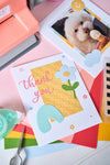 Sizzix 2D Mini Embossing Folder - Checkered Pattern by Letters by Shells