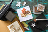 Sizzix Thinlits Die Set 12PK - Vault Holiday Classic by Tim Holtz